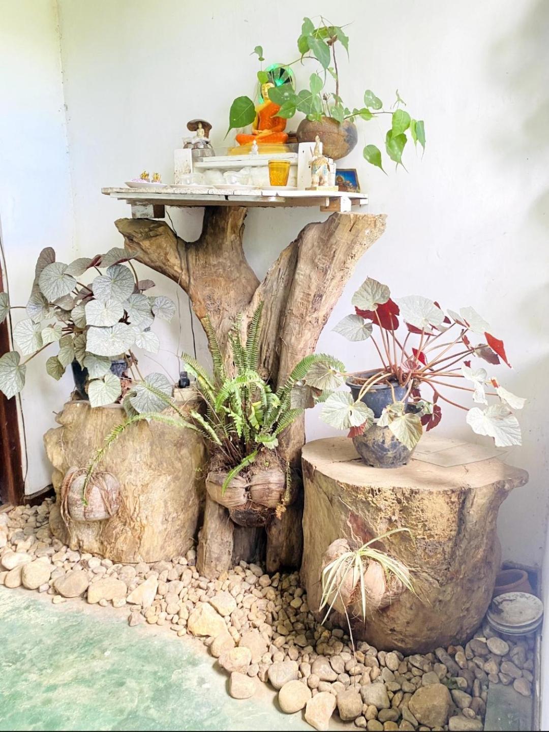 דירות אלה Dream Nest מראה חיצוני תמונה